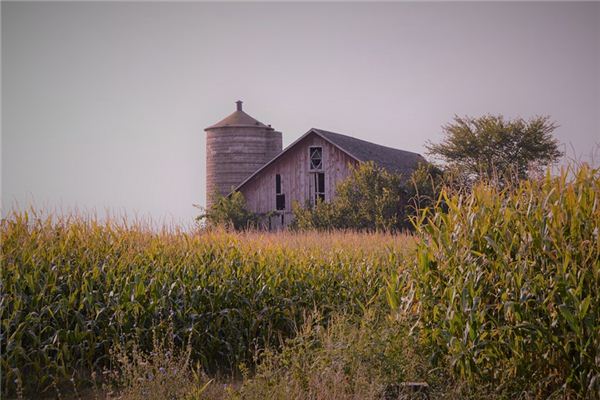 梦见仓廪是什么意思 梦见仓廪是什么意思