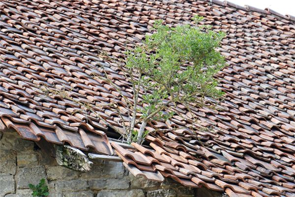 梦见屋顶破烂是什么意思 梦见屋顶破烂是什么意思