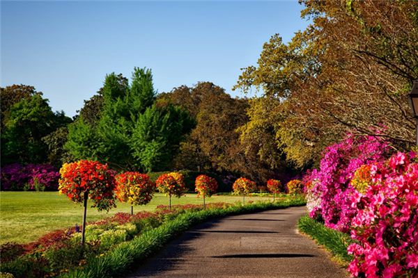 梦见庭院是什么意思 梦见庭院是什么意思