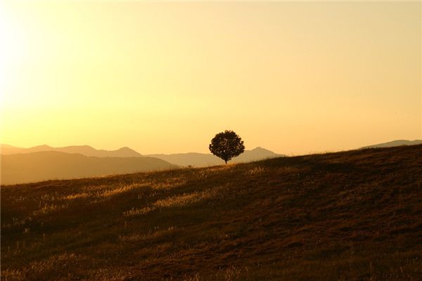 梦见安静是什么意思 梦见安静是什么意思