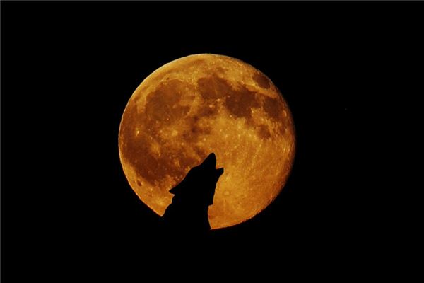 梦见号叫是什么意思 梦见号叫是什么意思