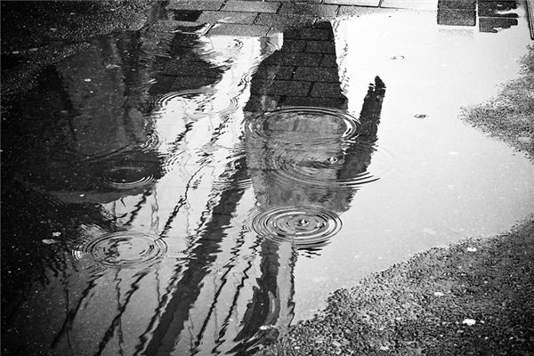 梦见水坑是什么意思 梦见水坑是什么意思