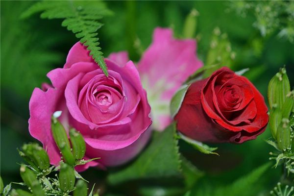 梦见一整天是什么意思 梦见一整天是什么意思