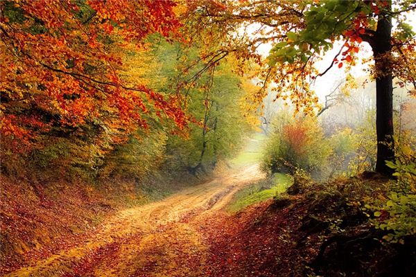 梦见秋季是什么意思 梦见秋季是什么意思