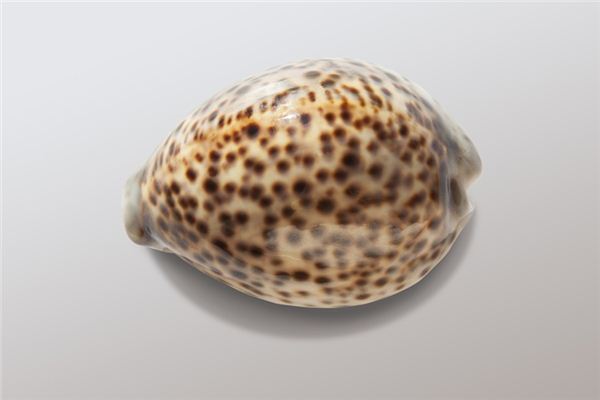 梦见媒介物是什么意思 梦见媒介物是什么意思