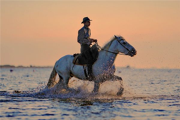 梦见骑马过海是什么意思 梦见骑马过海是什么意思