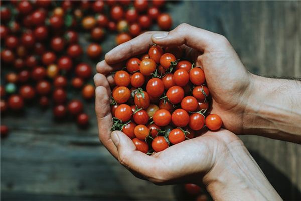 梦见收获是什么意思 梦见收获是什么意思