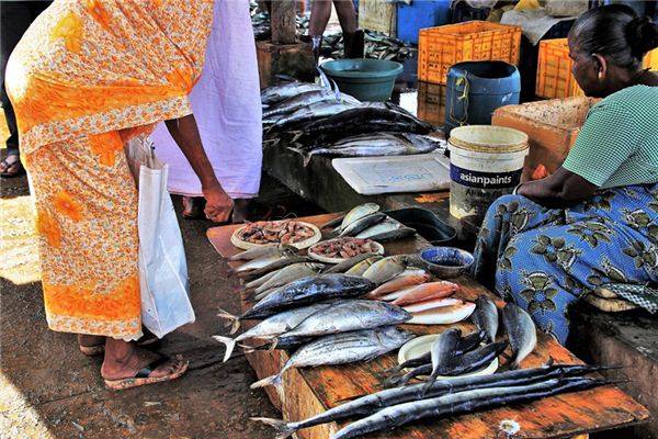 梦见卖鱼是什么意思 梦见卖鱼是什么意思