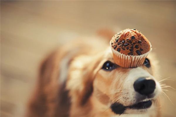 梦见嘲弄是什么意思 梦见嘲弄是什么意思