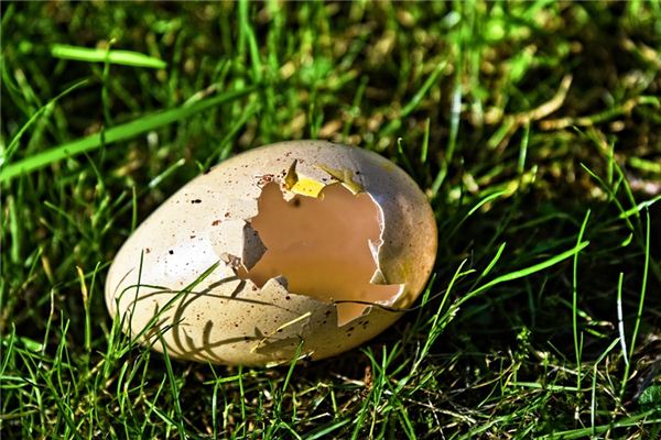 梦见打坏东西是什么意思 梦见打坏东西是什么意思