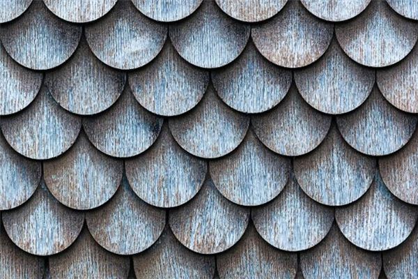 梦见鳞癣是什么意思 梦见鳞癣是什么意思