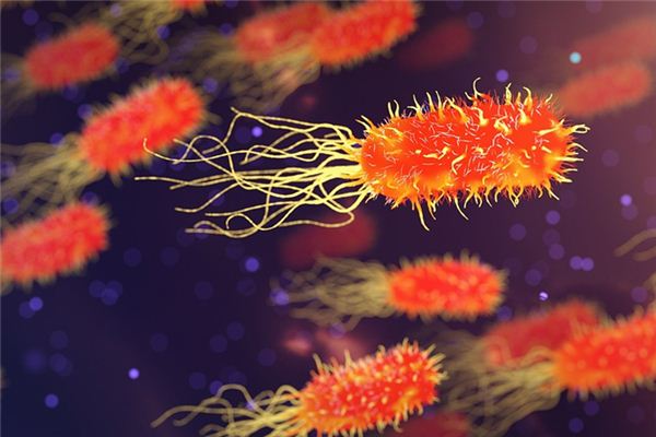 梦见猩红热是什么意思 梦见猩红热是什么意思