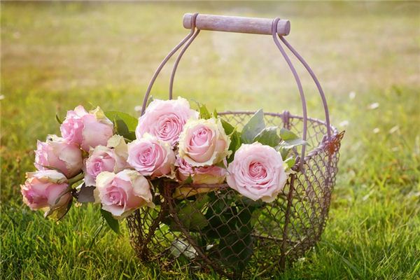 梦见花被盗是什么意思 梦见花被盗是什么意思