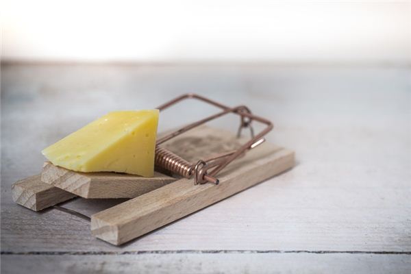 梦见挖陷阱是什么意思 梦见挖陷阱是什么意思