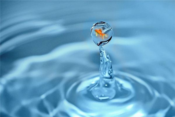 梦见天上掉鱼是什么意思 梦见天上掉鱼是什么意思