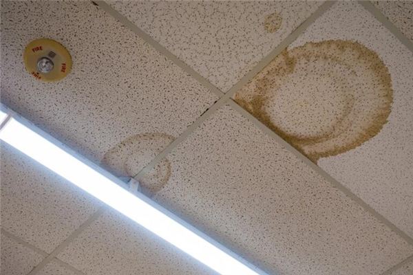 梦见厕所漏雨是什么意思 梦见厕所漏雨是什么意思