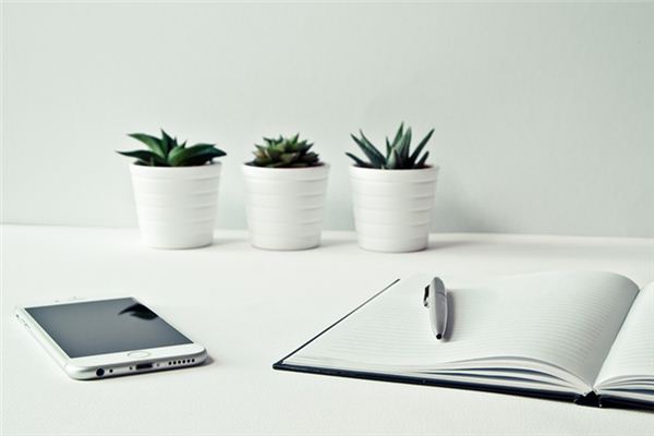 梦见手机被盗是什么预兆 梦见手机被盗是什么预兆