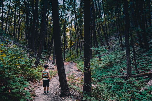 梦见找不到家 梦见找不到家