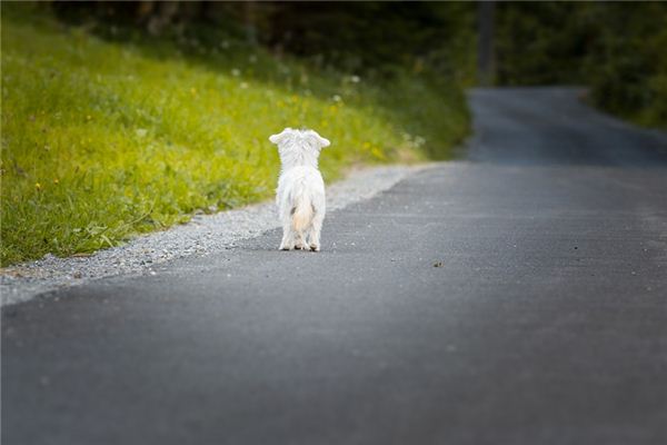 梦见离弃是什么意思 梦见离弃是什么意思