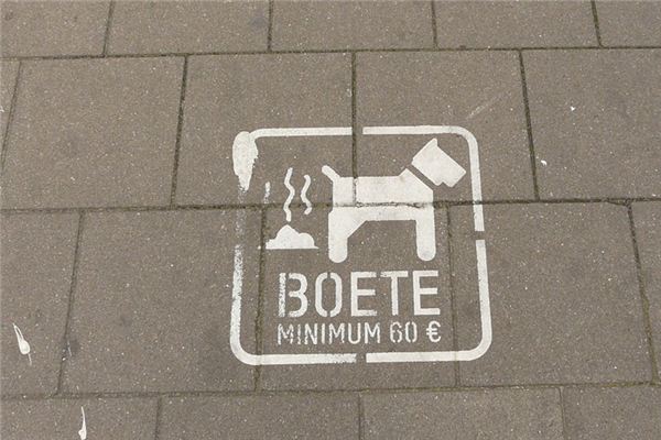 梦见吃狗屎是什么预兆 梦见吃狗屎是什么预兆