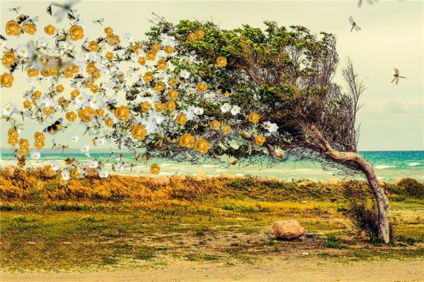 梦见离散是什么意思 梦见离散是什么意思