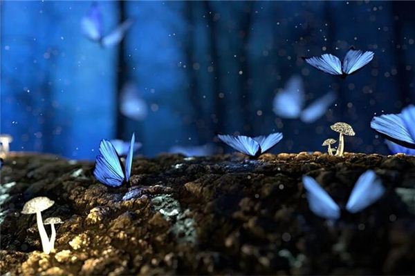 “一见钟情”,表示你想被爱的心情